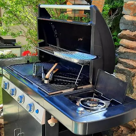 Apartment Bodmen 3 Apartments Von Privat In Zermatt